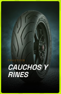 Cauchos y Rines